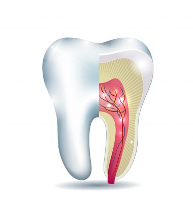 BassettDental - treatment