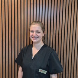 BassettDental - Team